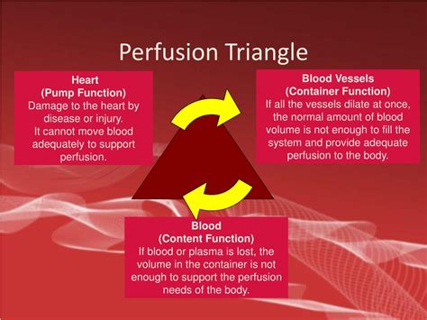 PPT - Shock and Resuscitation PowerPoint Presentation, free download - ID:4547336