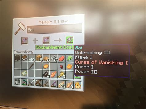 Minecraft Curse Of Vanishing - interactivefasr