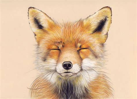 Cute Fox Art Print of My Original Drawing Wall Art - Etsy Singapore