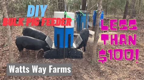 DIY Bulk Pig Feeder | Less than $100! | Detailed Build - YouTube