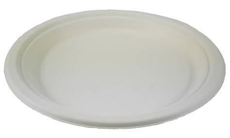 Buy 10" Bagasse Plate Online | Eco Friendly Takeaway Packaging