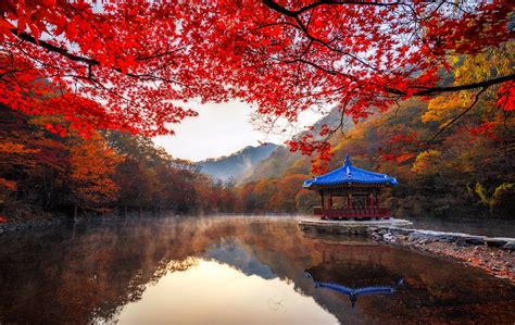 6 places in Asia to appreciate fall foliage - SilverKris