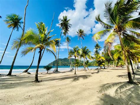 Maracas Beach Trinidad