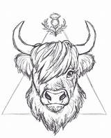 Printable Highland Cow Colouring Page  And Enjoyable Learning sketch template