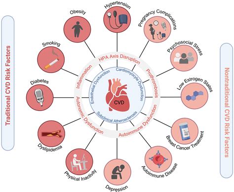 Cardiovascular Disease Risk Factors