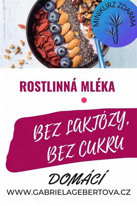 Rostlinná mléka - bez laktózy, bez cukru, domácí | Food animals, Dog ...