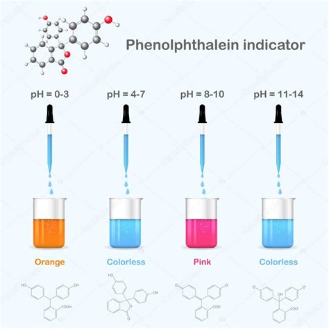 Forms of phenolphthalein in solutions with different pH — Stock Vector ...