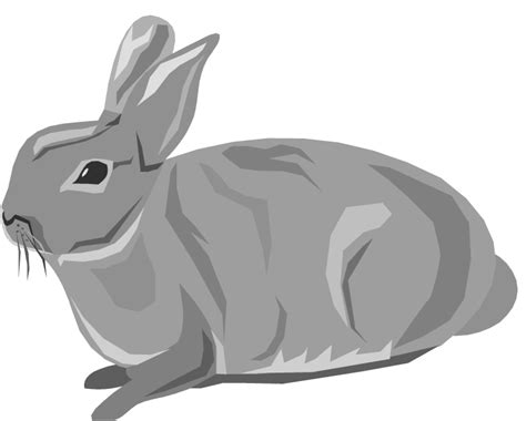 Rabbit clipart rabbit animals clip art downloadclipart org – Clipartix