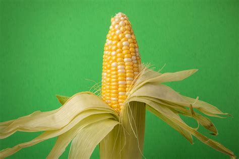 Is Corn a Vegetable, Grain or Fruit? | Trusted Since 1922