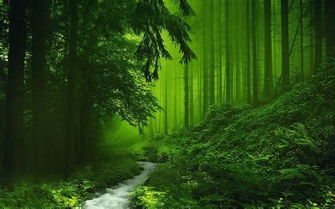 Green Scenery Desktop Wallpapers - Top Những Hình Ảnh Đẹp