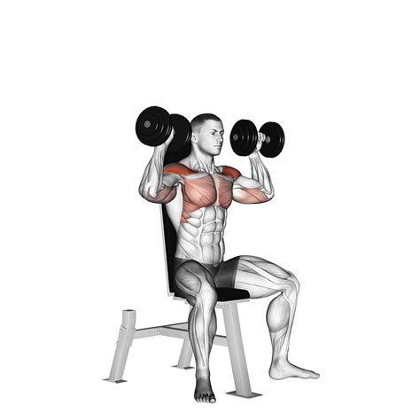 9 Best Dumbbell Push Exercises (with Pictures!) - Inspire US