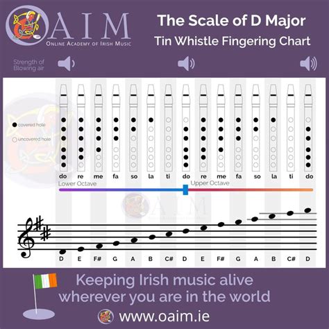 how to play the scale of d major on the tin whistle | Tin whistle ...