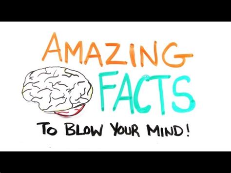 Amazing Mind-Blowing Facts 3 - The Awesomer