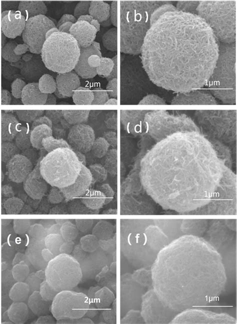 SEM images of SCNT (a, b), NSCNT (c, d) and NSCNT/S (e, f). | Download ...