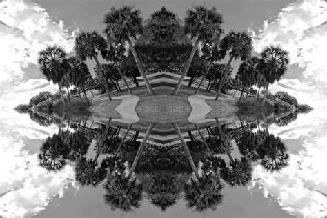 Kaleidoscope Nature - Rob Gale Photography & Photo Booth