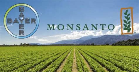 Investors Demanding Billions From Monsanto As Part of Class Action ...