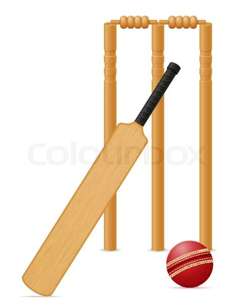 Cricket equipment bat ball and wicket ... | Stock vector | Colourbox