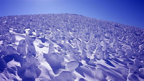 The Snow Monsters of Mount Zao | Visit Yamagata | Kyuhoshi