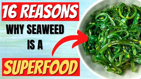 Seaweed Benefits: 16 Impressive Health Benefits of Seaweed - YouTube