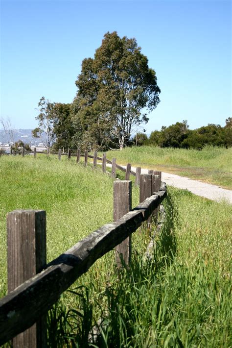Fence | Wooden fence in Menlo Park, California | Glen Scott | Flickr