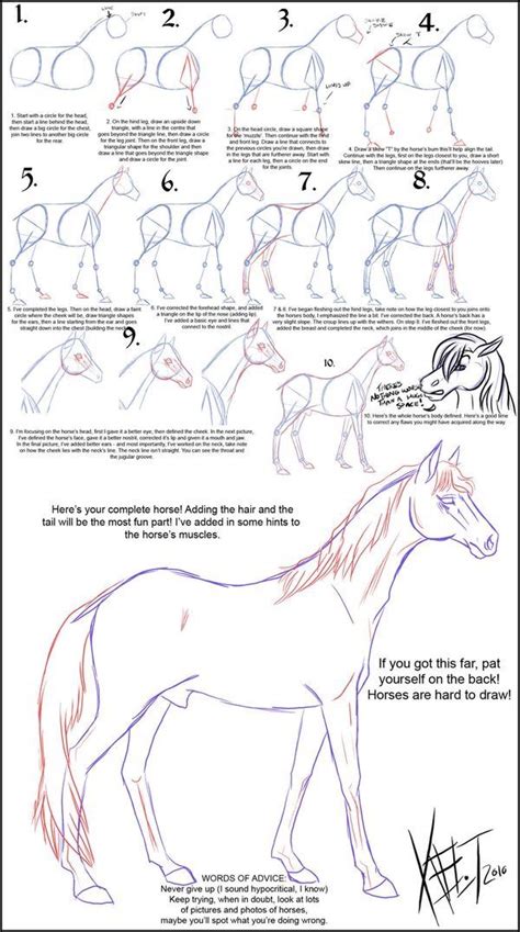 Pin on inspiration et tutoriel de dessin | Horse drawings, Drawing ...