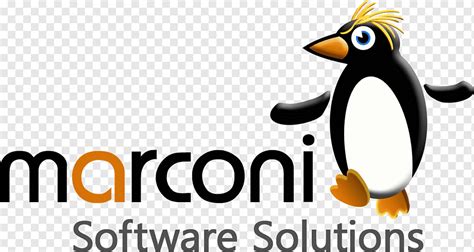 Penguin Logo Computer Software Bird Font, Penguin, animals, text, logo ...