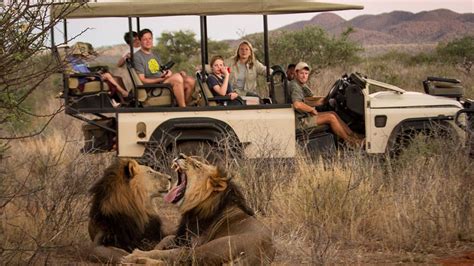 Review: Tswalu Kalahari Reserve in South Africa | TravelAge West