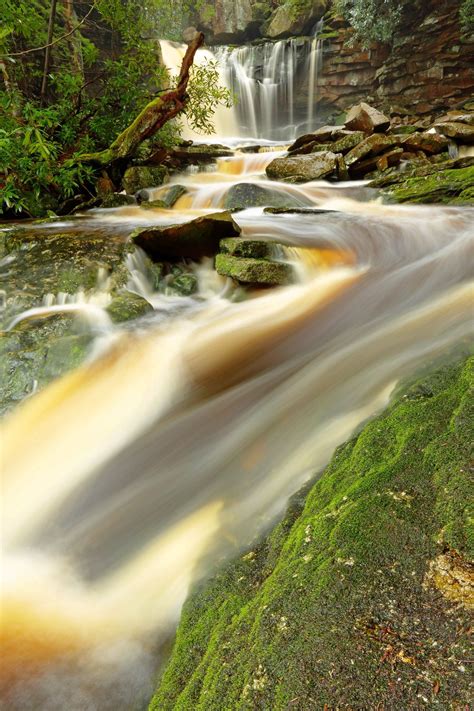 Elakala Falls: Mossy passage | Beautiful waterfalls, Blackwater falls ...