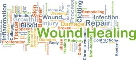 The Principles of Wound Bed Preparation and TIME | WoundSource