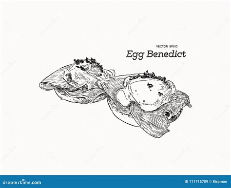 Egg Benedict, Breakfast Hand Draw Sketch Vector. Stock Vector ...