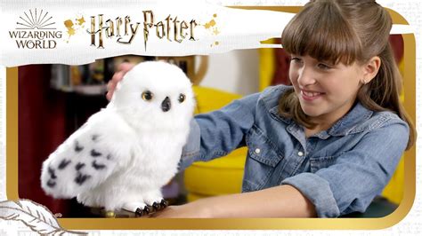 Unlock magical experiences with Enchanting Hedwig! Harry Potter ...