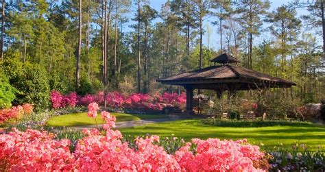 Romantic Getaways in Georgia: Callaway Gardens in Pine Mountain