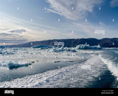 Icebergs floating in the Labrador Sea, Nuuk Fjord, Sermersooq, Greenland Stock Photo - Alamy