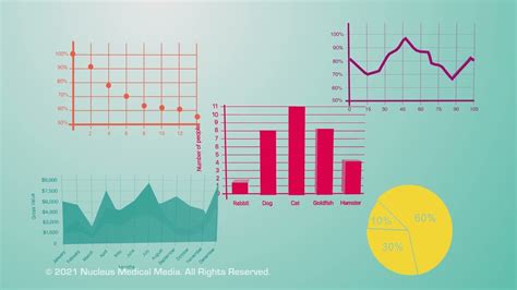 Biology 101: How to Understand Graphs - YouTube