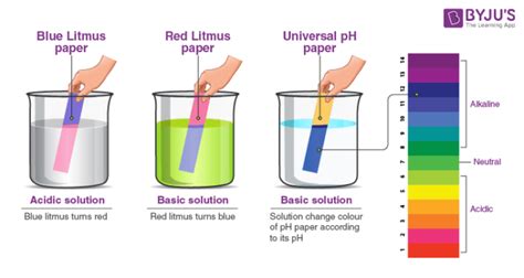 What Is Litmus Paper? - History, Composition, Colours with Examples