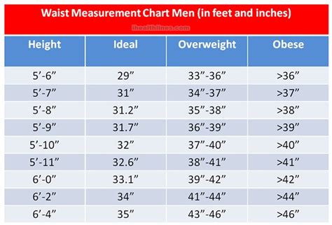 Average Waist Size For Men & Women Comprehensive Guide