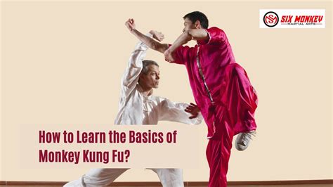 How to Learn the Basics of Monkey Kung Fu? # 1 Best Martial Arts