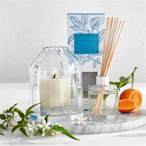 Glass Candle Cloche | Williams Sonoma