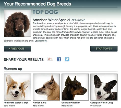 8 Dog Breed Selector Tools For Find Your Perfect Dog!