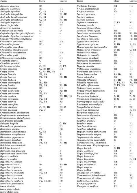 Trichome types in the analysed taxa. | Download Table