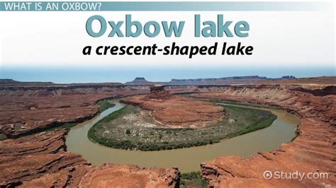 Oxbow Lake Definition, Formation & Examples - Lesson | Study.com