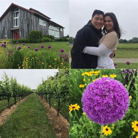 Hamptons Guide: Day Trip to Greenport Wineries — Seis Kamimura