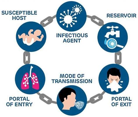 Diagram Of Chain Of Infection For Nurse Aides