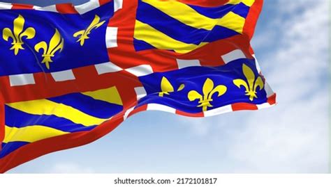 37 Burgundian Flag Images, Stock Photos & Vectors | Shutterstock