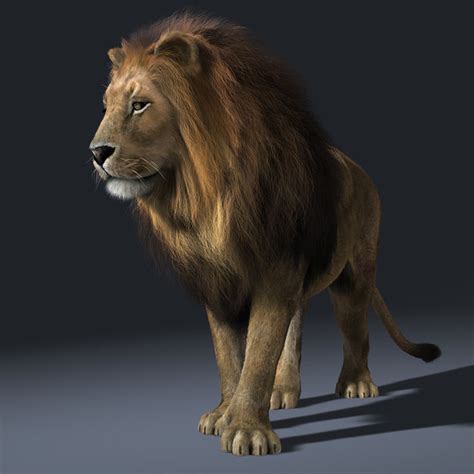 3D lion Models max 3ds obj fbx ma