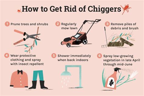 How to Get Rid of Chiggers on Skin, In or Around Home