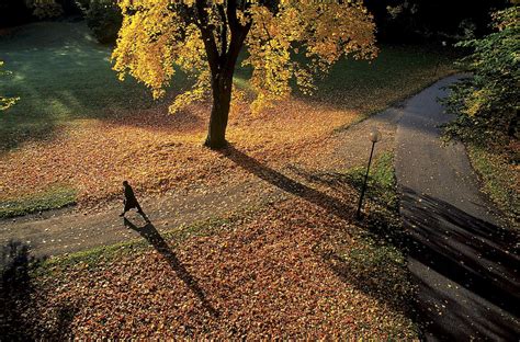 Parks in Stockholm - Guide to the best parks - Visit Stockholm