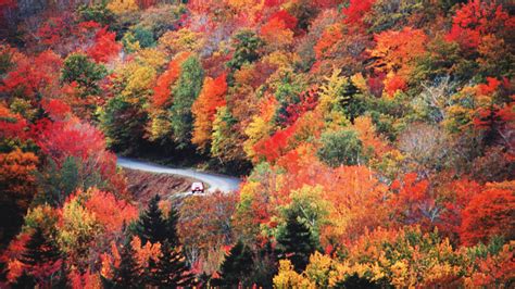 Hier wirft sich der Herbst in Farbe - Farb-Spektakel von Kanada bis Finnland - Traumreisen - Bild.de