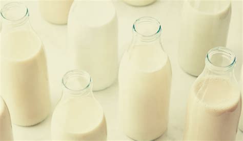 The Cream of the Crop: A Quick Look at Unhomogenised Milk