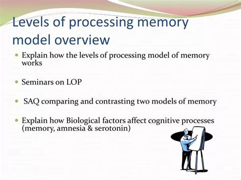 Levels Of Processing Model Of Memory